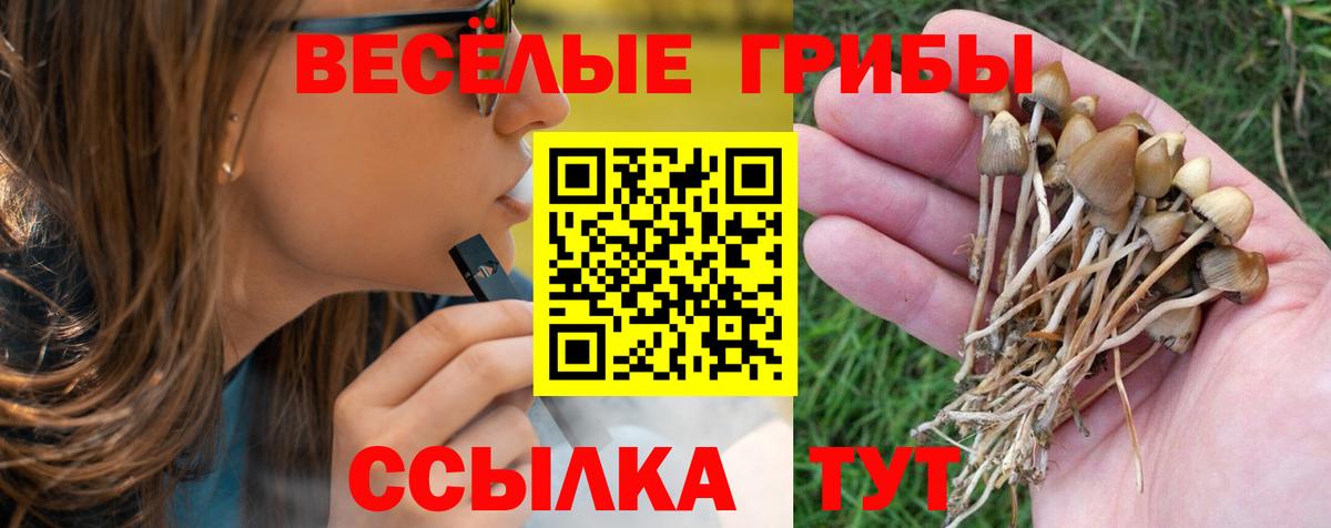 Галлюциногенные грибы ЛСД Междуреченск
